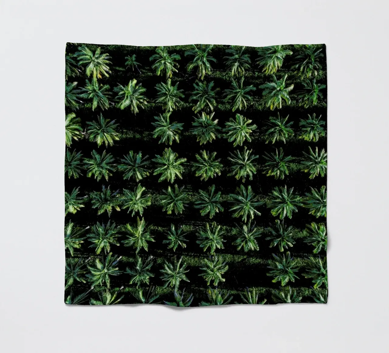 Palms coperta in pile da ROBERTO H