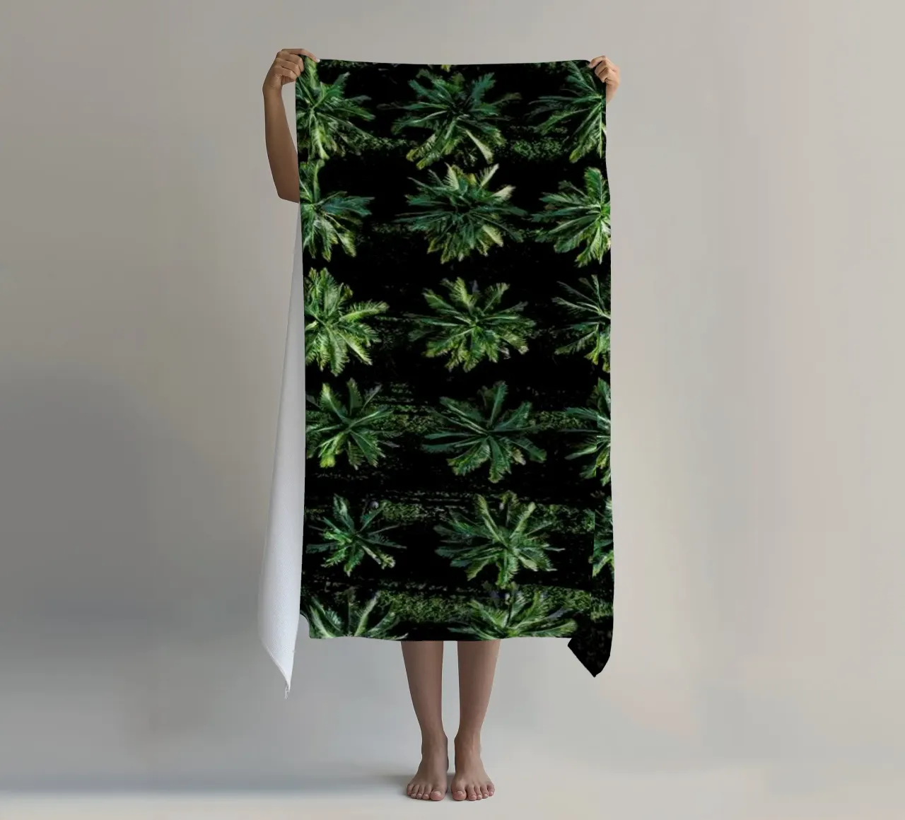 Palms telo mare da ROBERTO H