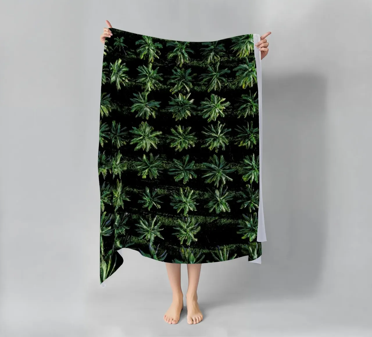 Palms telo mare da ROBERTO H