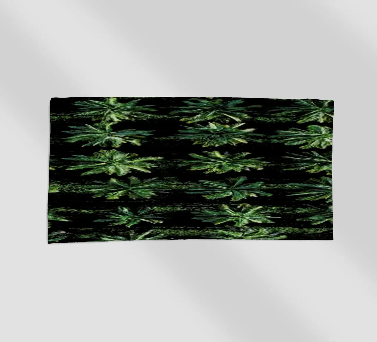 Palms telo mare da ROBERTO H