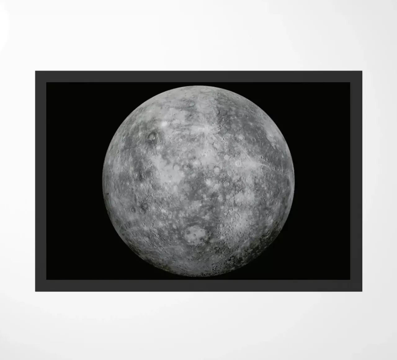 Mercury zerbino da Florent Bodart