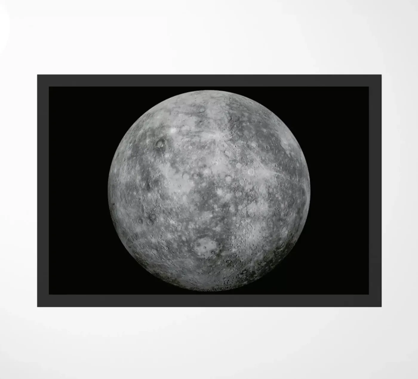 Mercury zerbino da Florent Bodart