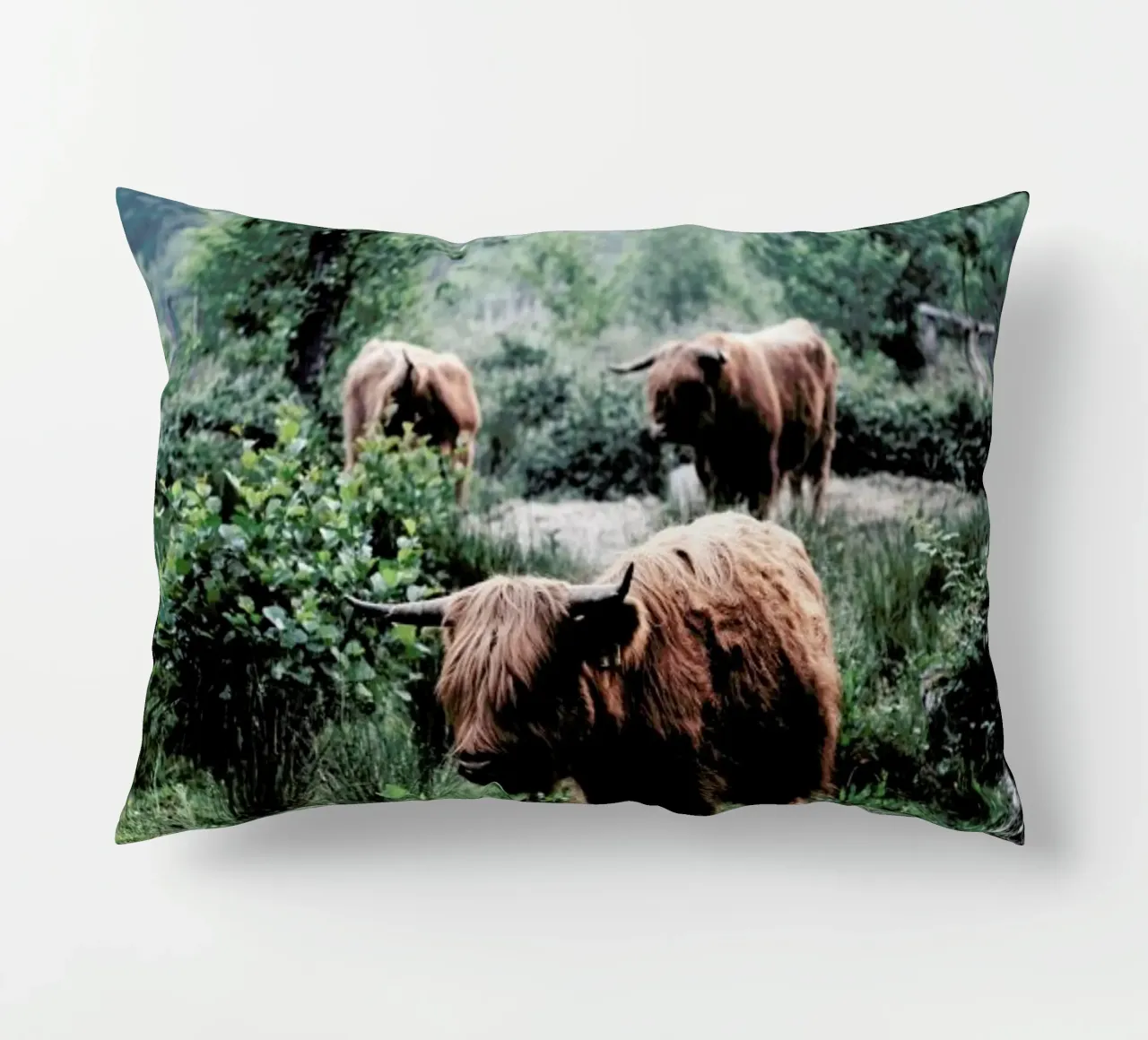 Seen But Not Herd cuscino da Natural Kingdom