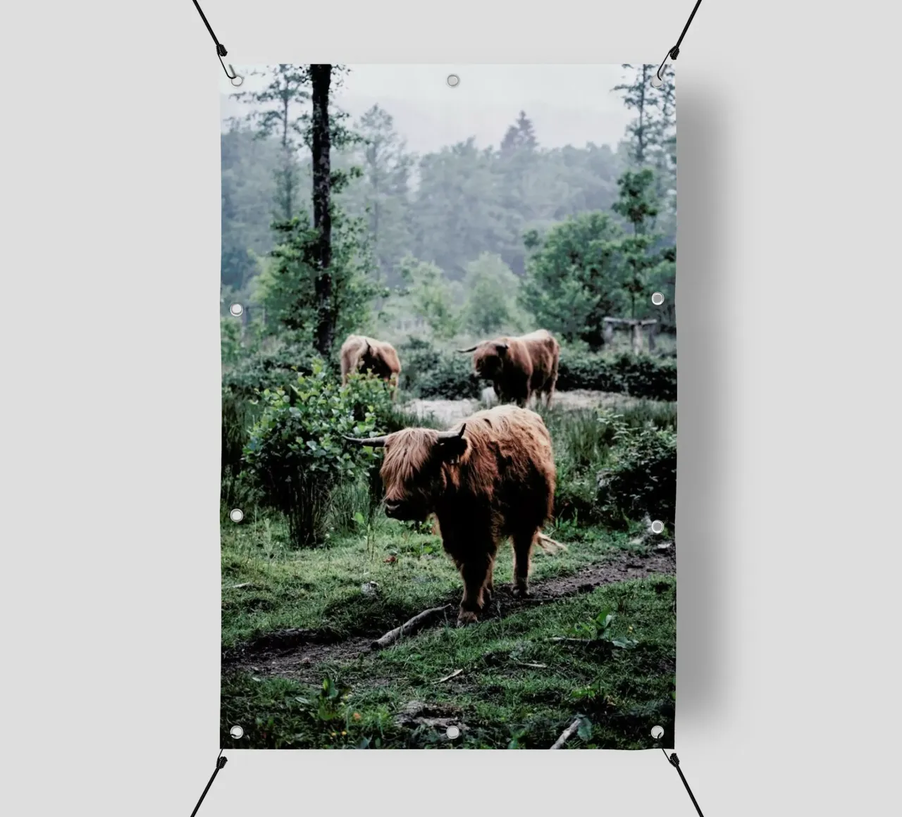 Seen But Not Herd telo in pvc da Natural Kingdom