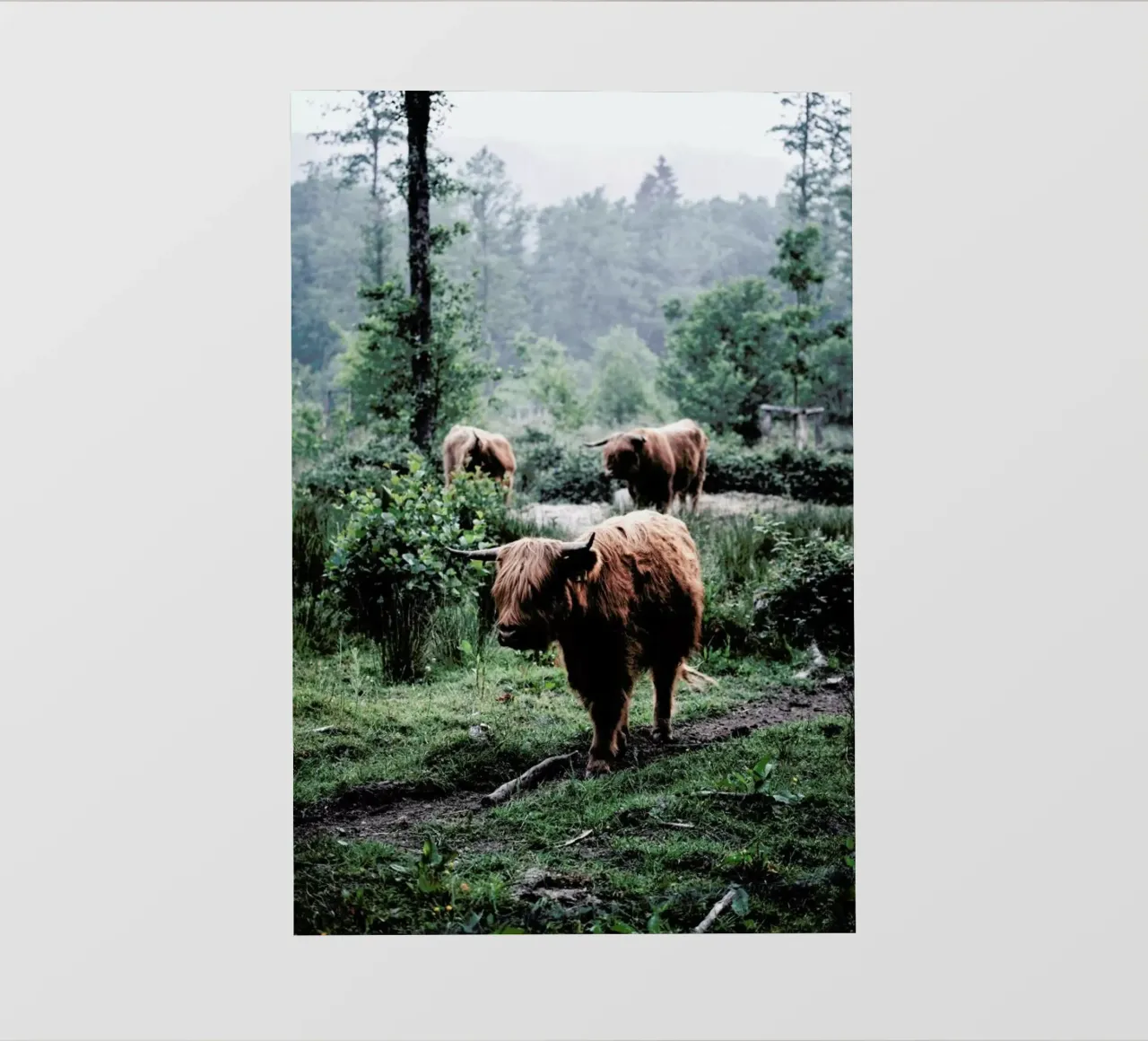 Seen But Not Herd telo in pvc da Natural Kingdom