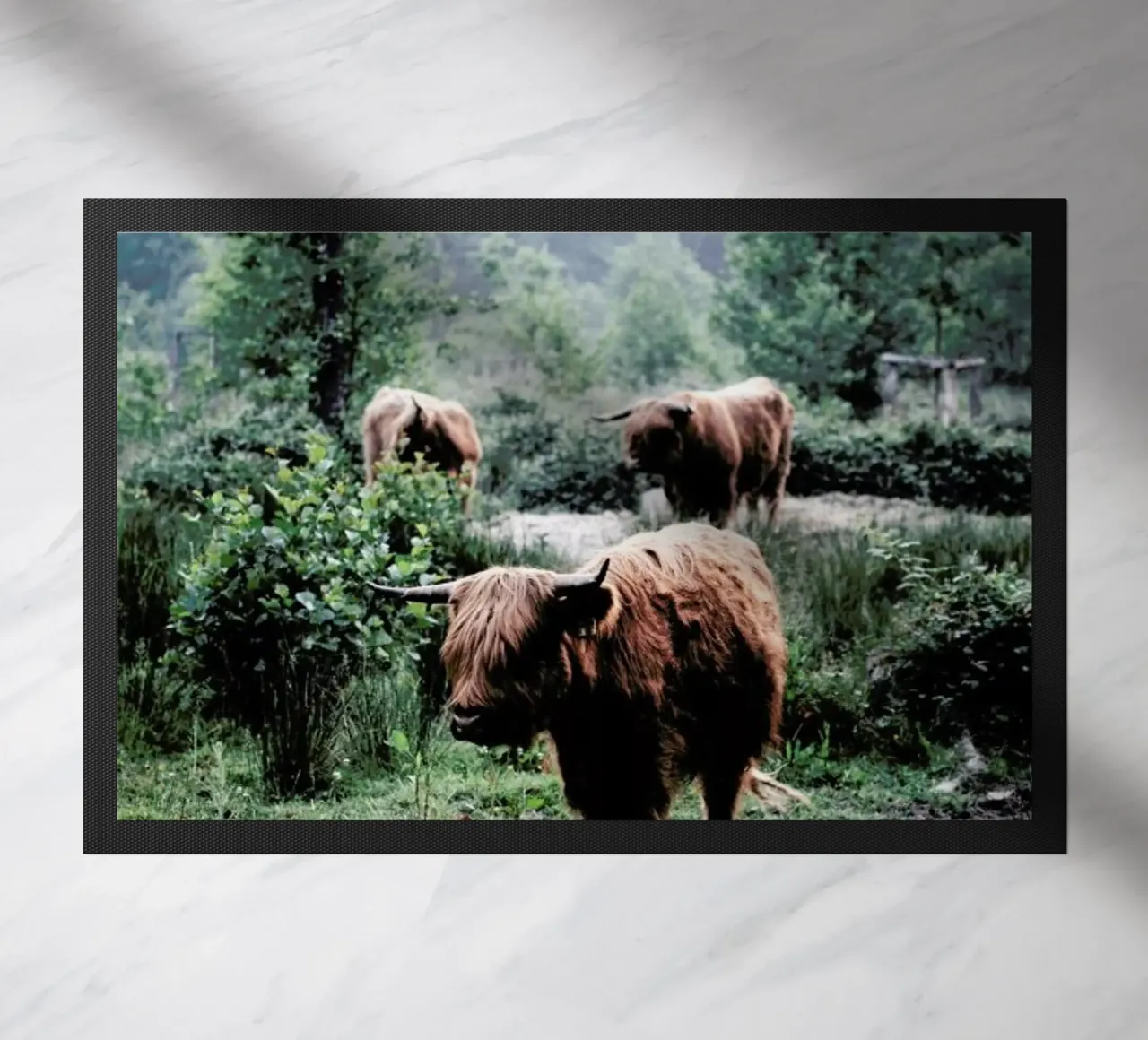 Seen But Not Herd zerbino da Natural Kingdom