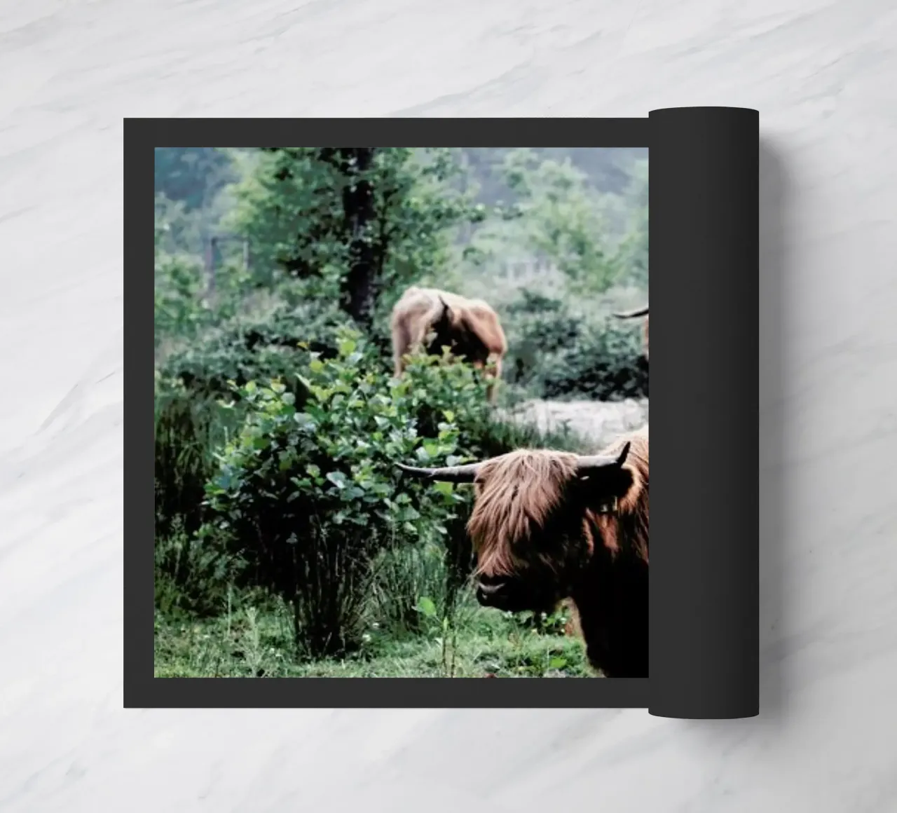 Seen But Not Herd zerbino da Natural Kingdom