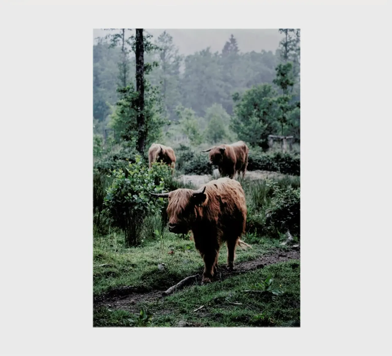 Seen But Not Herd notebook by Natural Kingdom