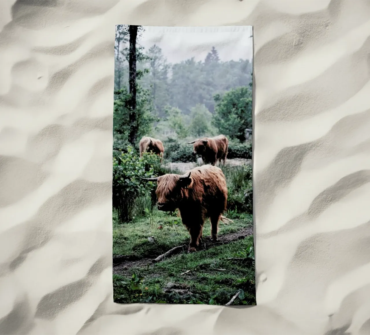 Seen But Not Herd telo mare da Natural Kingdom