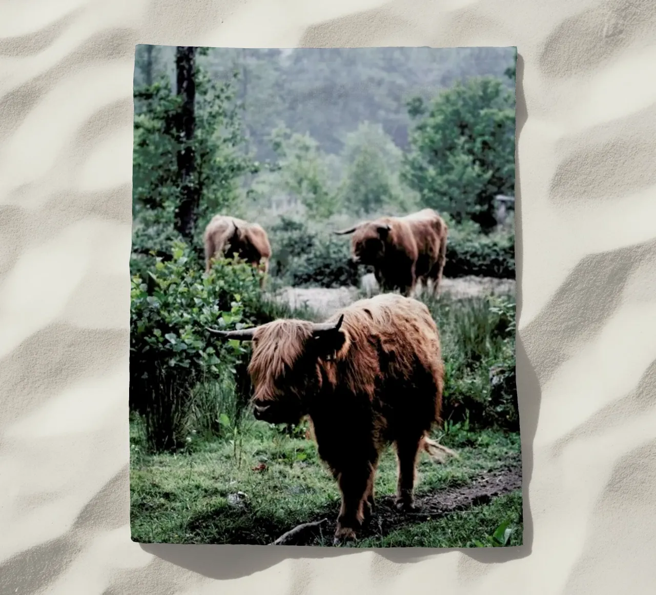 Seen But Not Herd telo mare da Natural Kingdom
