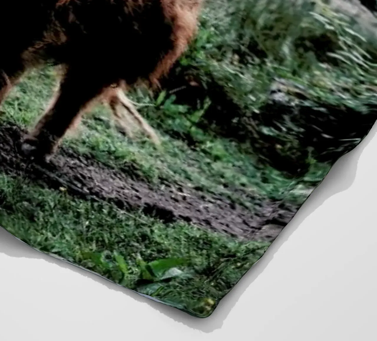 Seen But Not Herd coperta in pile da Natural Kingdom