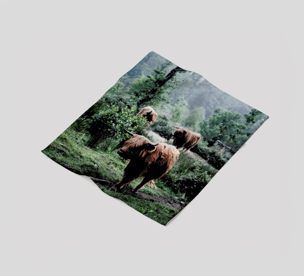 Seen But Not Herd coperta in pile da Natural Kingdom