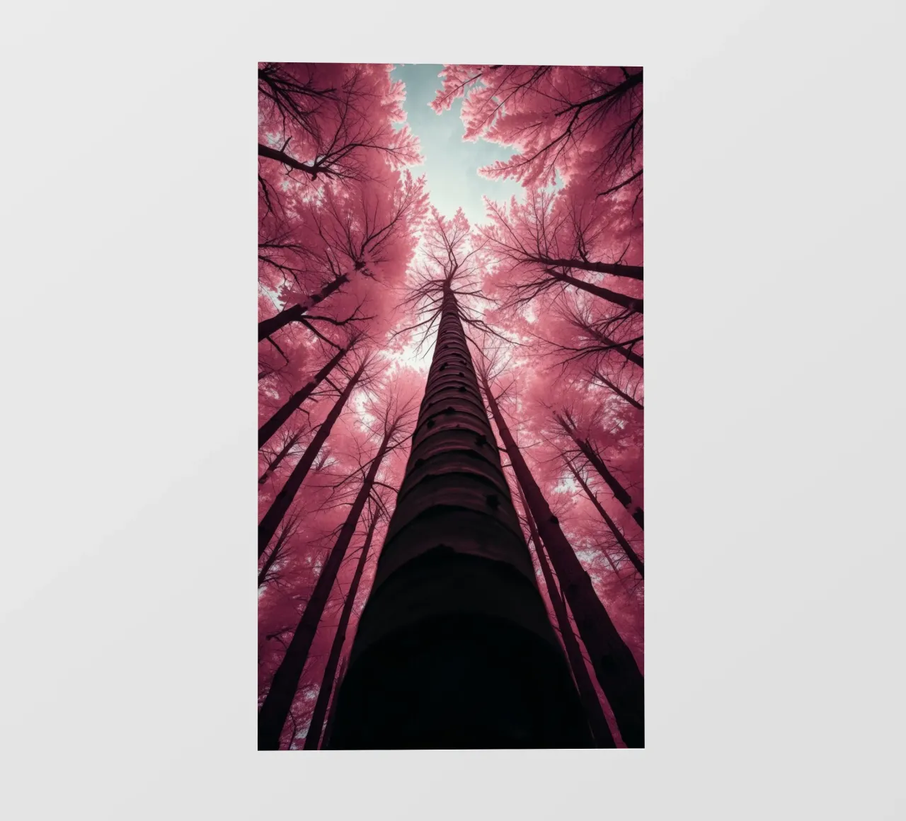Gli alti alberi si protendono verso il cielo rosa creando un'atmosfera da sogno. telo in pvc da DesignDoodle