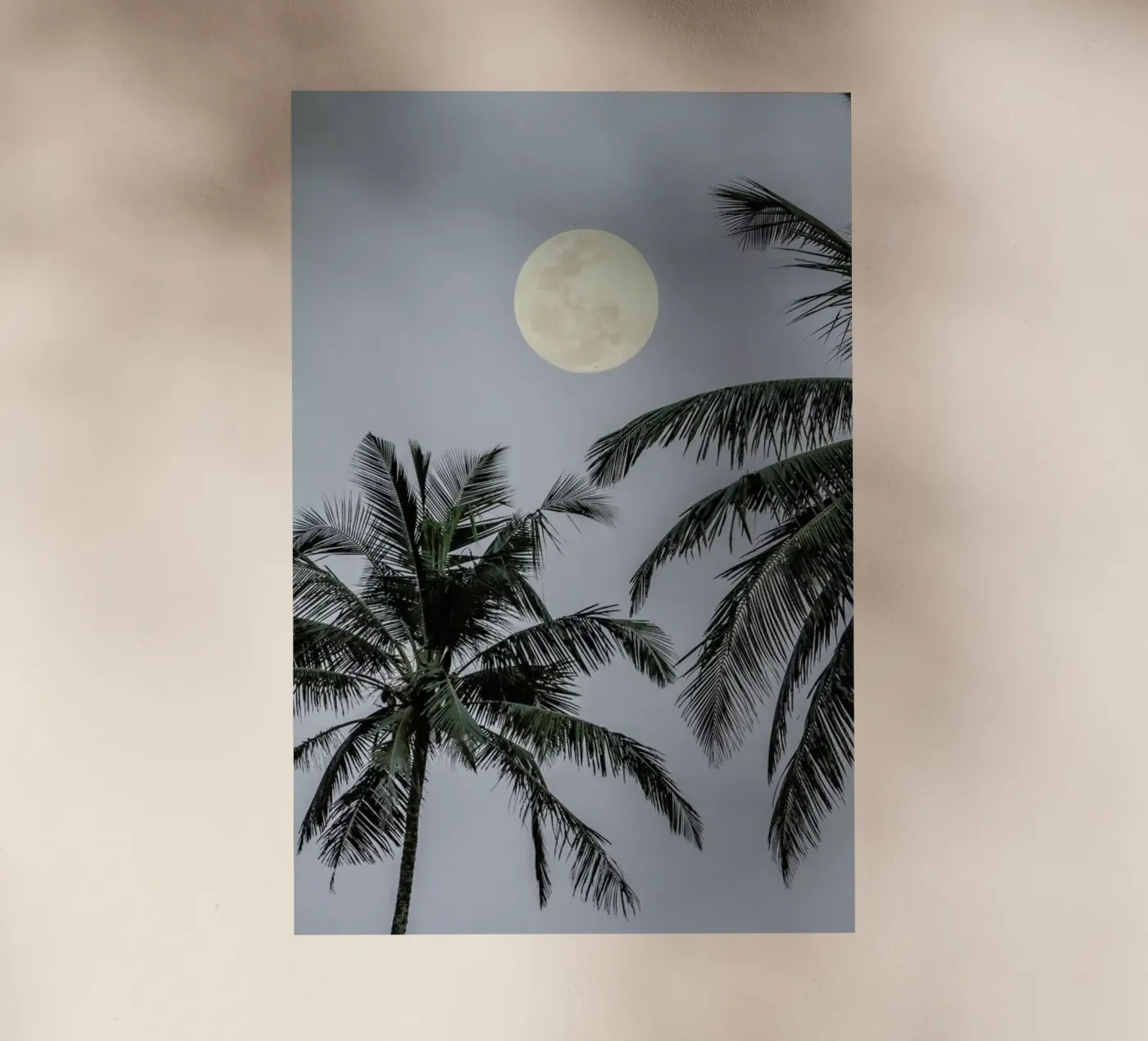 Full Moon pellicola backlit da Victoria Frost