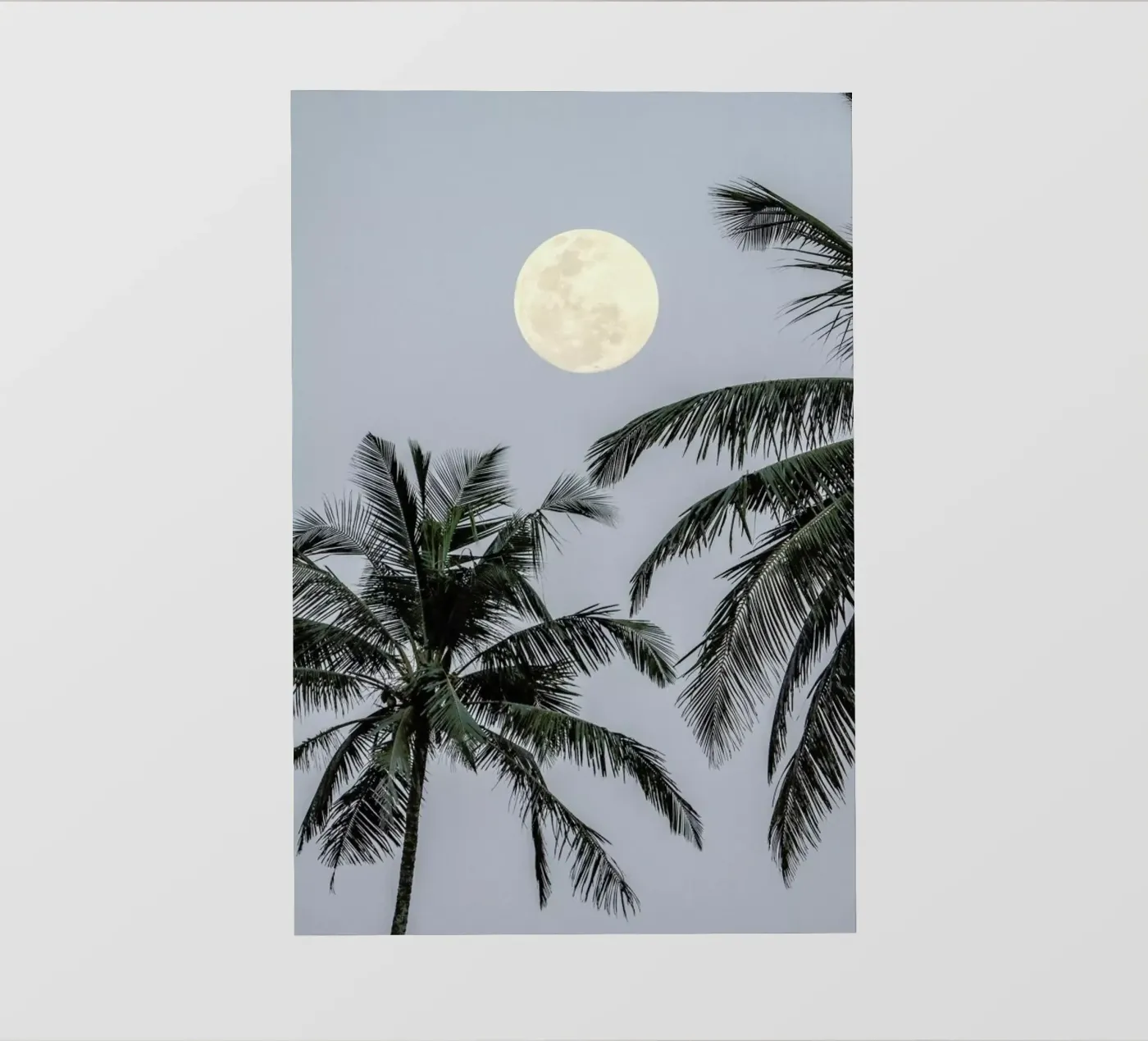 Full Moon pellicola backlit da Victoria Frost