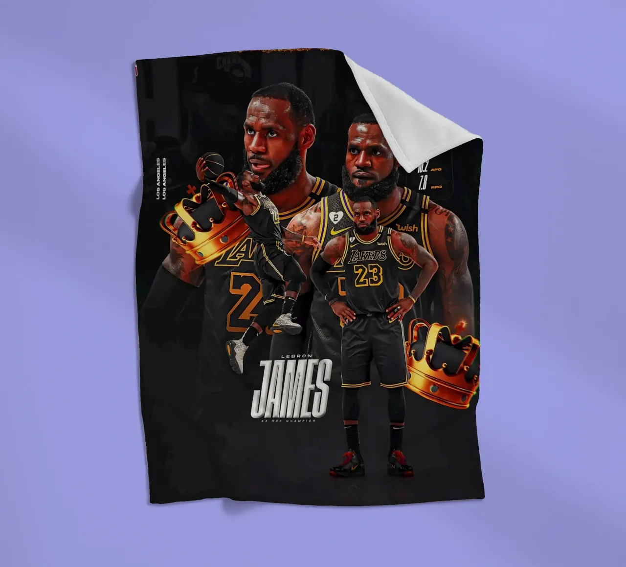Lebron James coperta in pile da Agus Creative