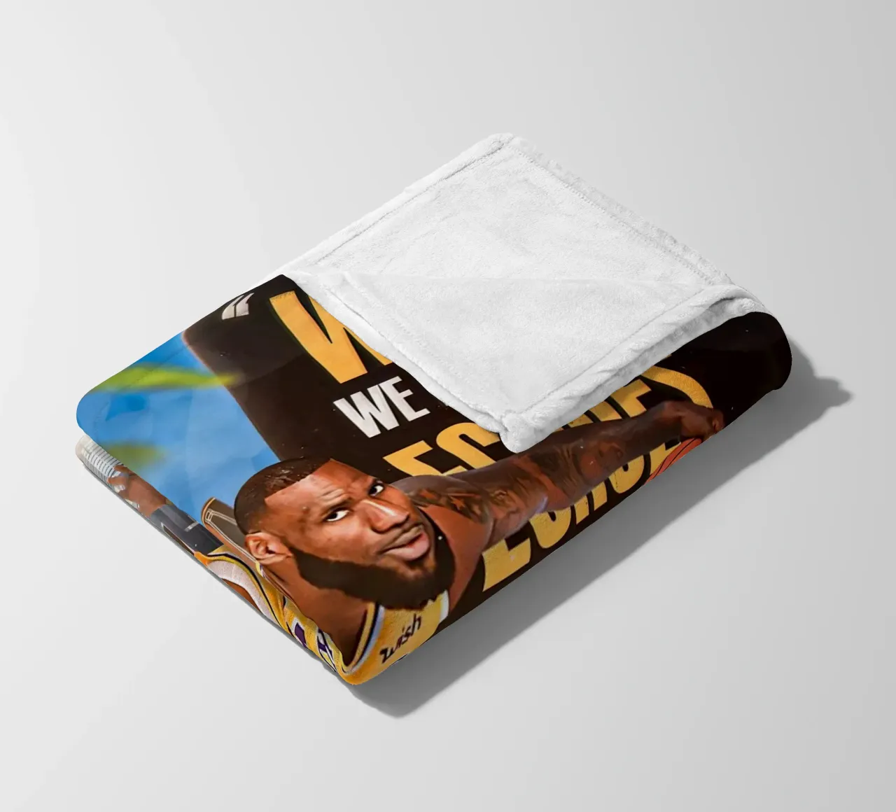 Lebron James coperta in pile da Agus Creative