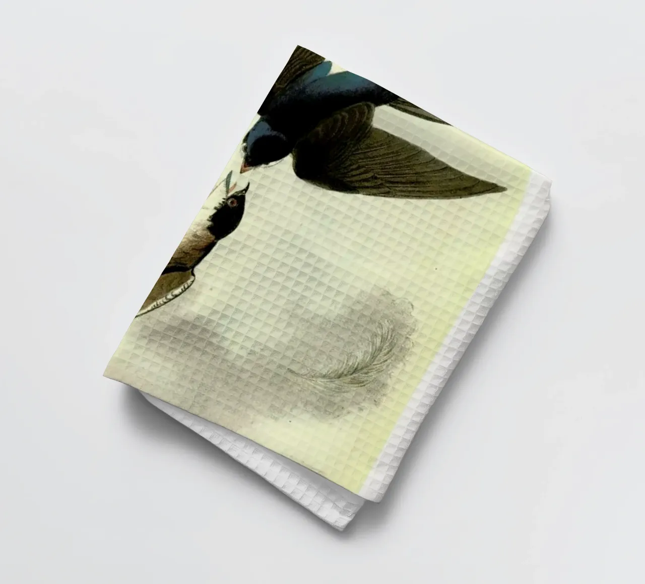 Audubon - White-bellied Swallow, from 'The Birds of America' torchon de ARTOTHEK