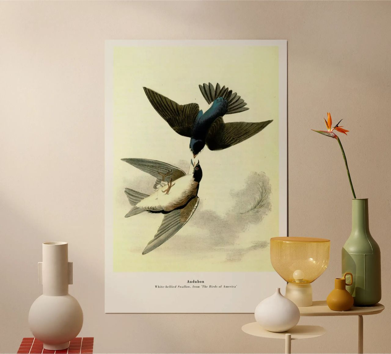 Audubon - White-bellied Swallow, from 'The Birds of America' Poster von ARTOTHEK
