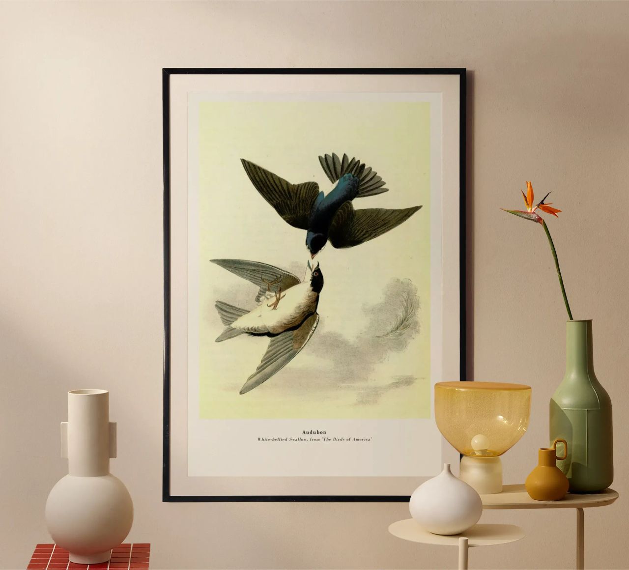 Audubon - White-bellied Swallow, from 'The Birds of America' Poster von ARTOTHEK