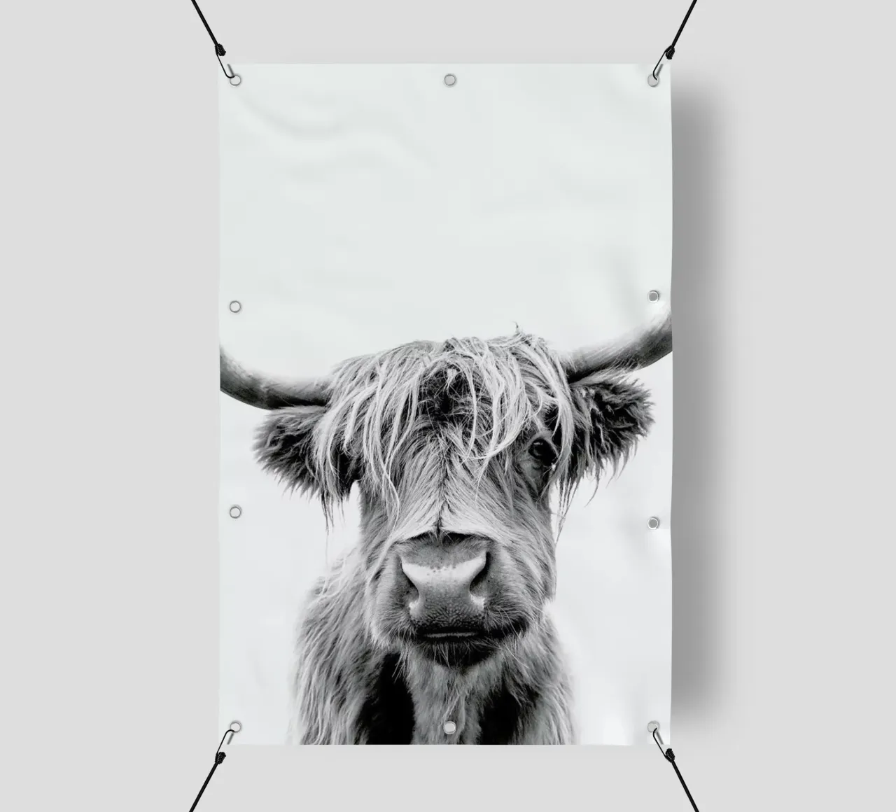 Beneath Raised Brows telo in pvc da Natural Kingdom