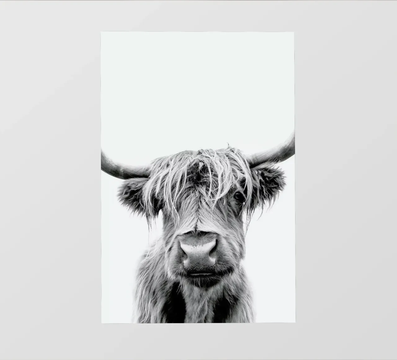 Beneath Raised Brows telo in pvc da Natural Kingdom