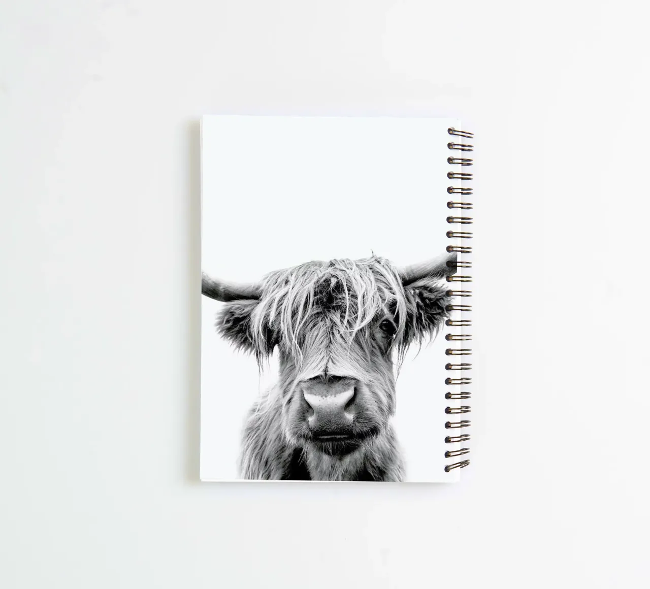 Beneath Raised Brows spiral notebook by Natural Kingdom