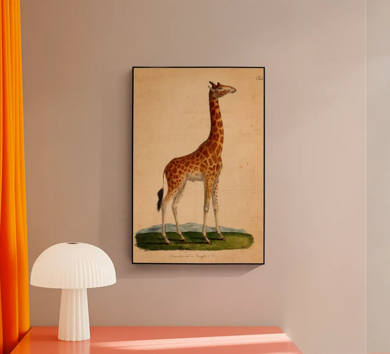 Dappertje plexiglass da vintagebotanics