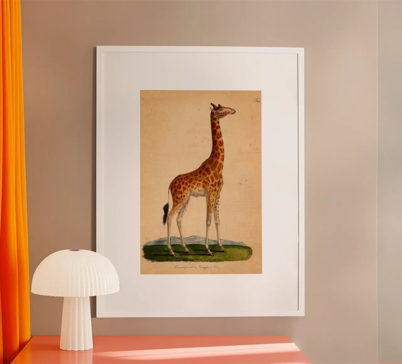 Dappertje poster da vintagebotanics
