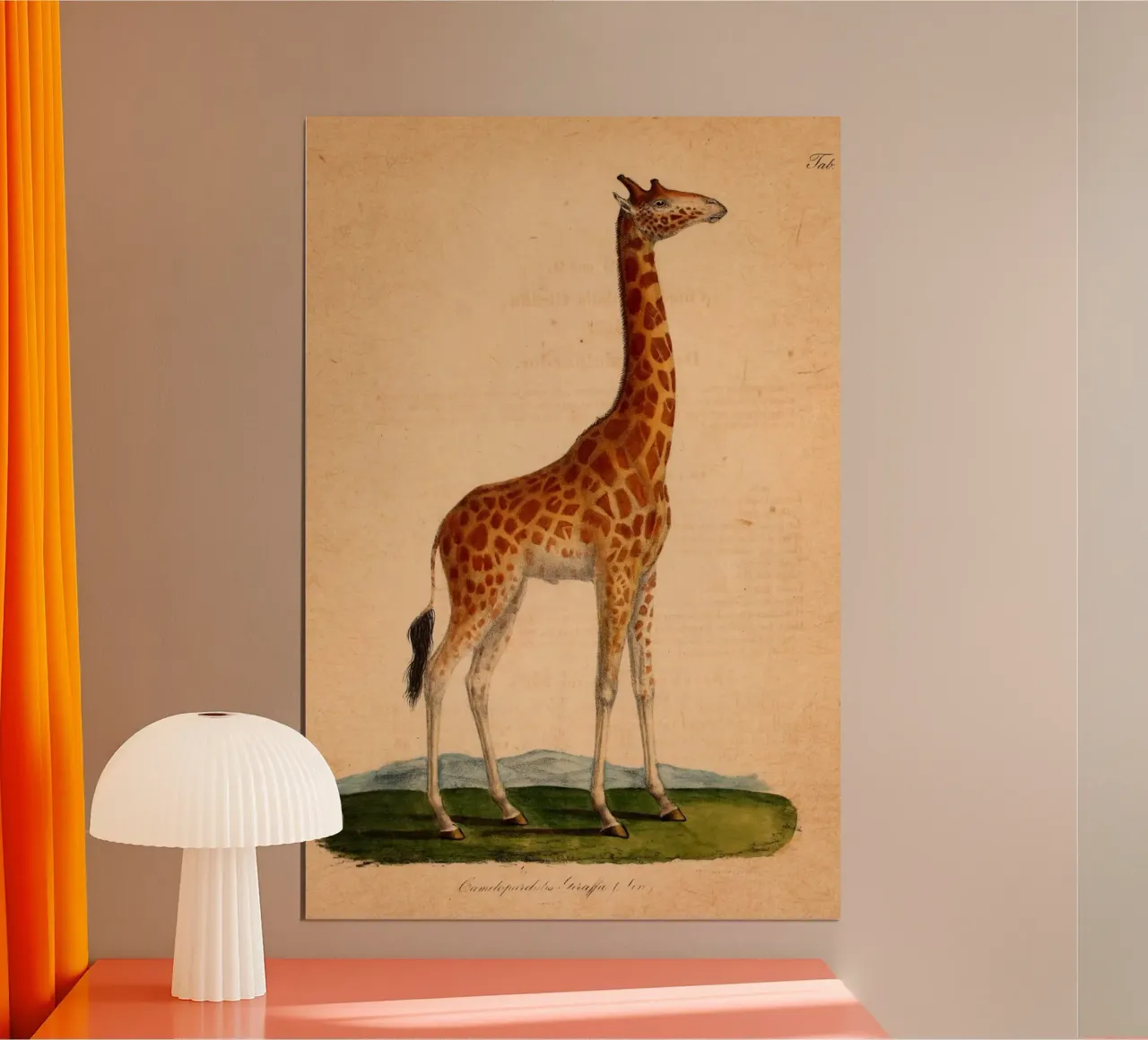 Dappertje poster da vintagebotanics