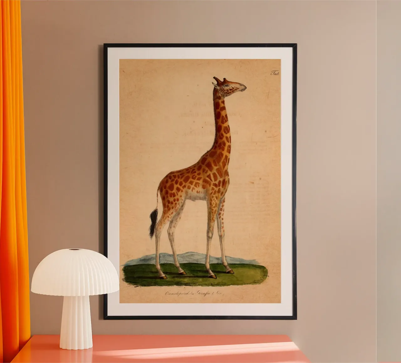 Dappertje poster da vintagebotanics