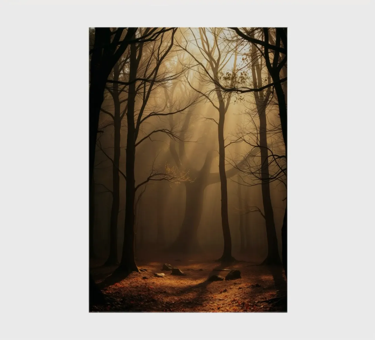 foresta con la luce del sole che filtra attraverso gli alberi diario da DesignDoodle