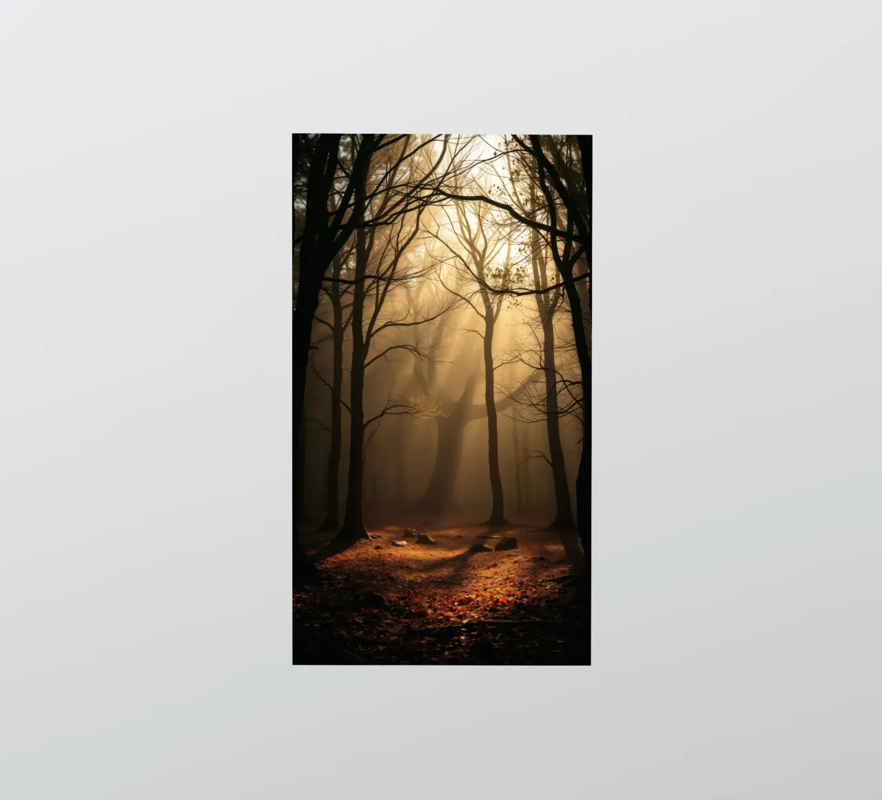 foresta con la luce del sole che filtra attraverso gli alberi adesivo da DesignDoodle
