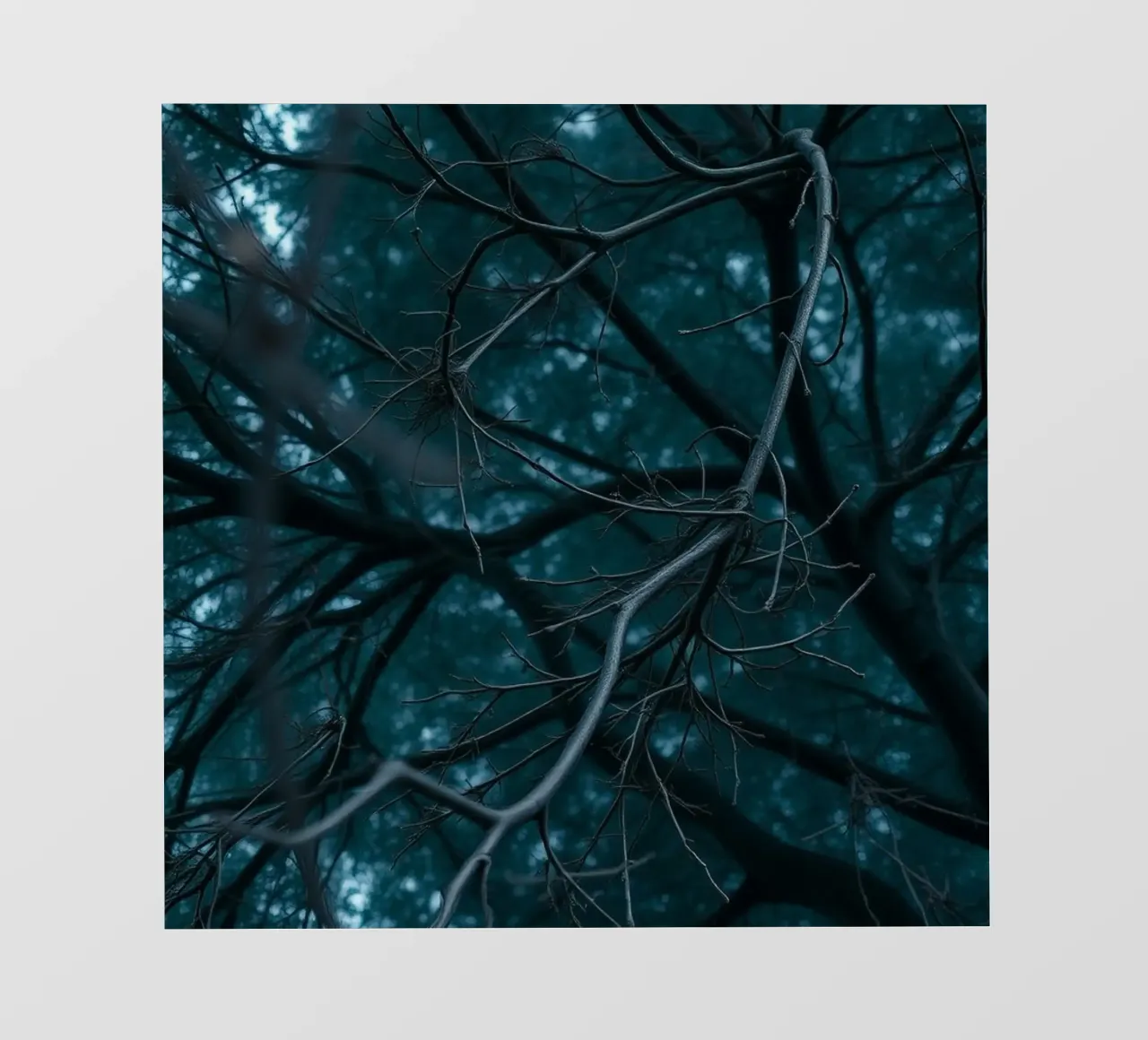 Branches intertwine against a dark, moody backdrop pvc cover by DesignDoodle