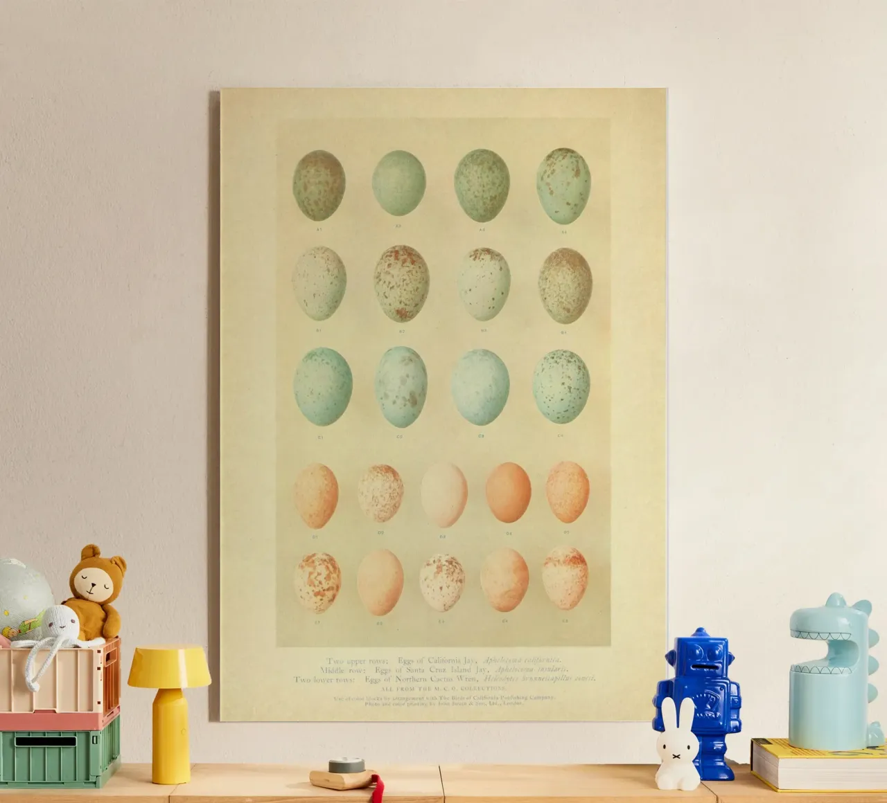 Eggs Eggs Eggs metacrilato de vintagebotanics