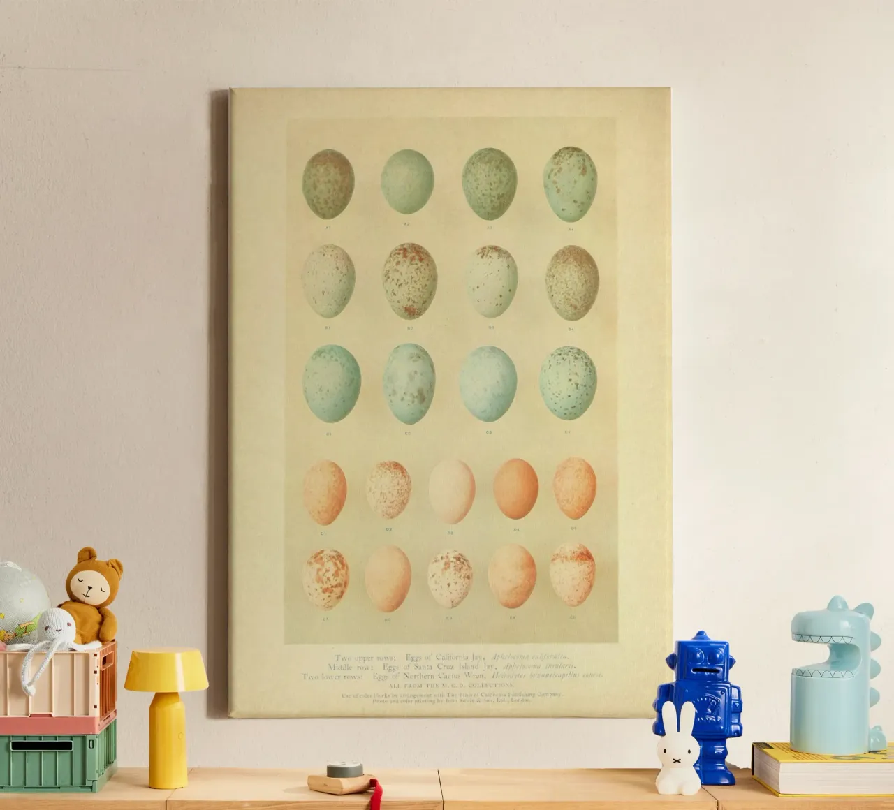 Eggs Eggs Eggs tela da vintagebotanics
