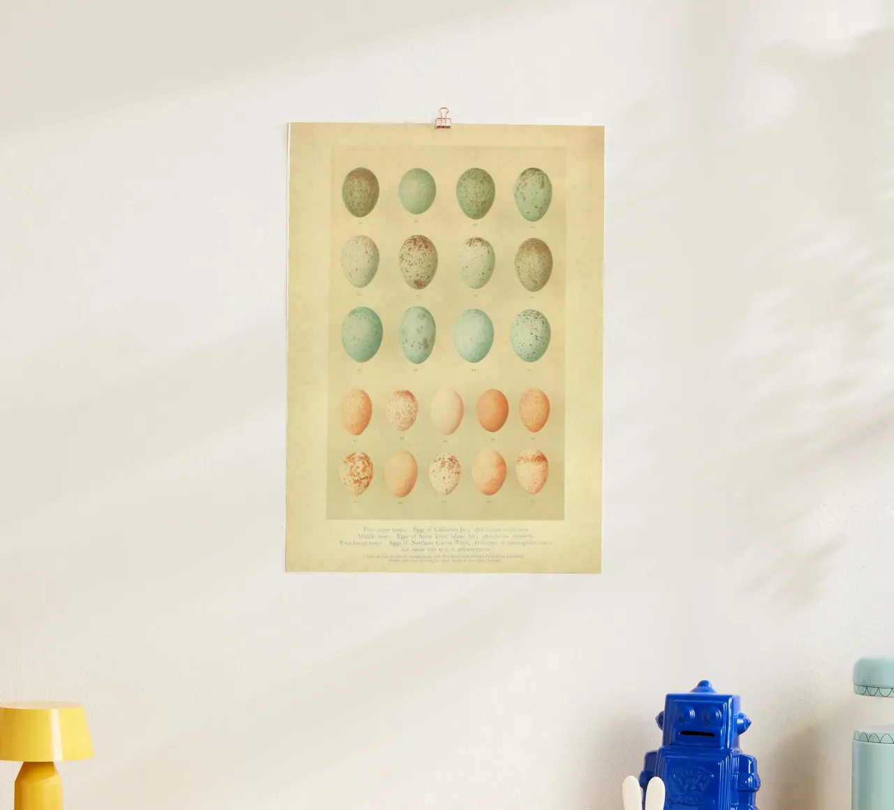 Eggs Eggs Eggs Hahnemühle von vintagebotanics