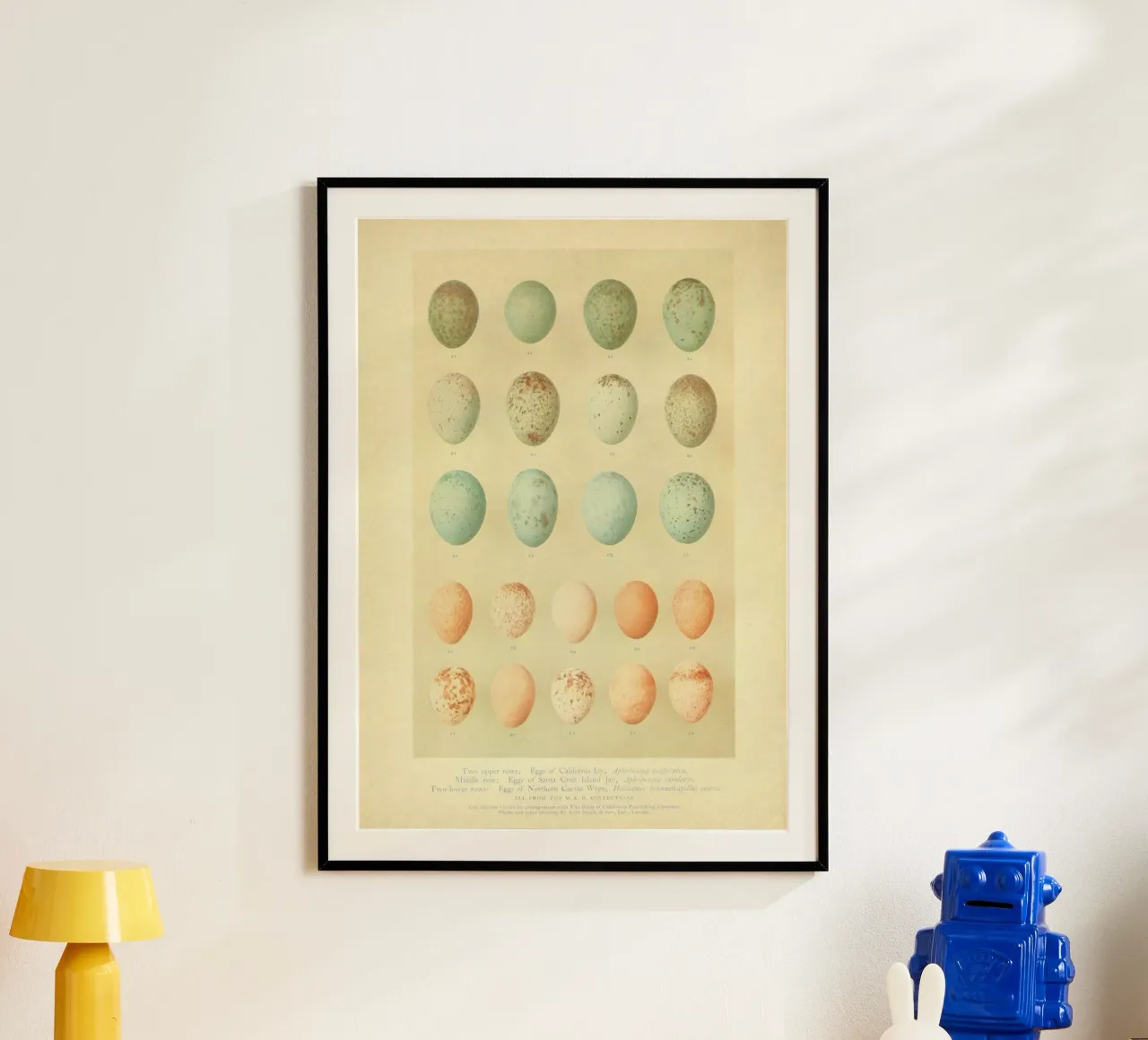 Eggs Eggs Eggs Hahnemühle von vintagebotanics