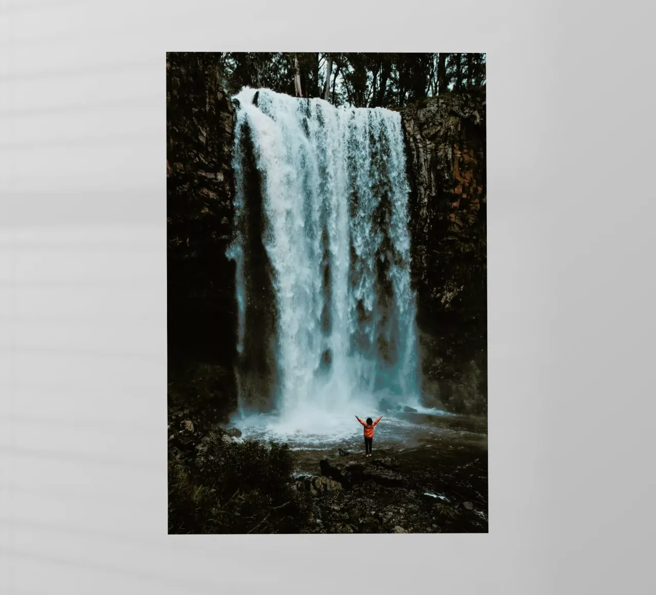 Full Force by @connorjvaughan pellicola backlit da EyeEm Mobile GmbH