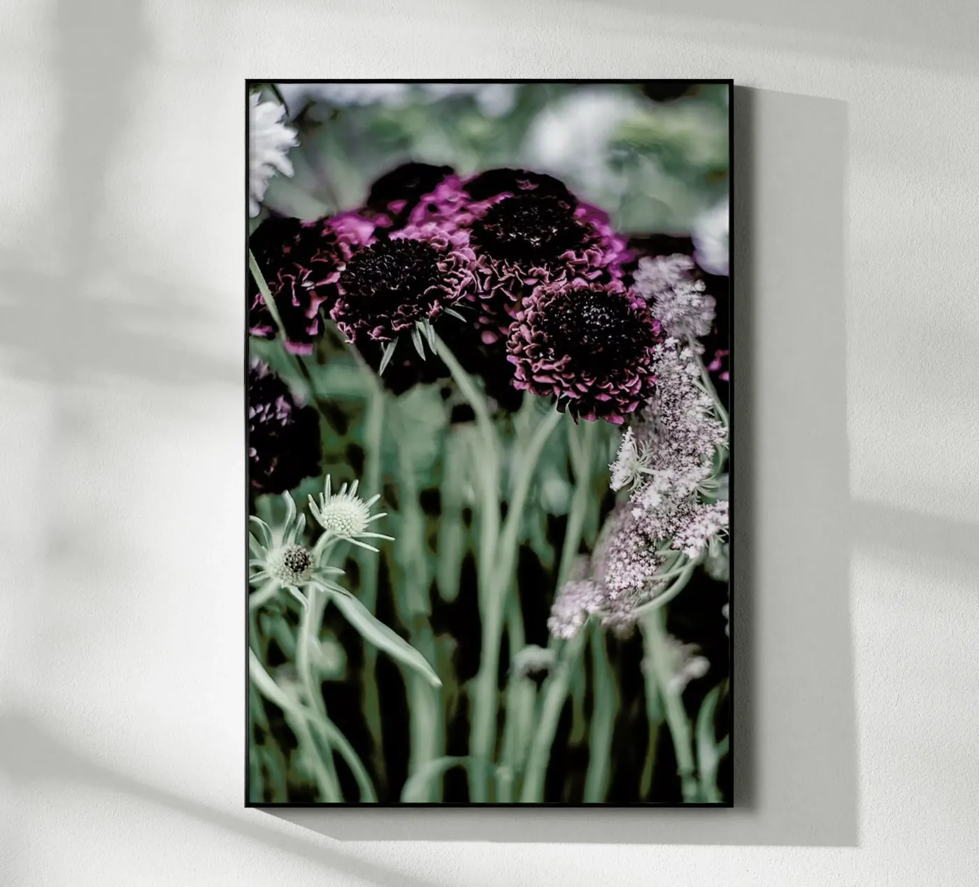 Purple Heart plexiglass da Shot By Clint
