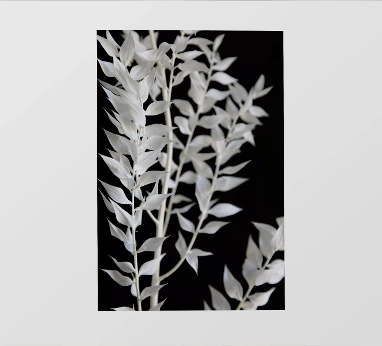 Minimal Black & White Branch telo in pvc da Studio Nahili
