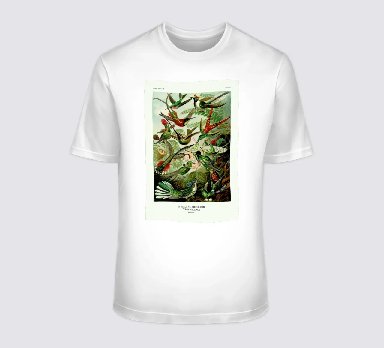 Haeckel - Hummingbirds and Trochilidae (Kolibris) t-shirt da ARTOTHEK