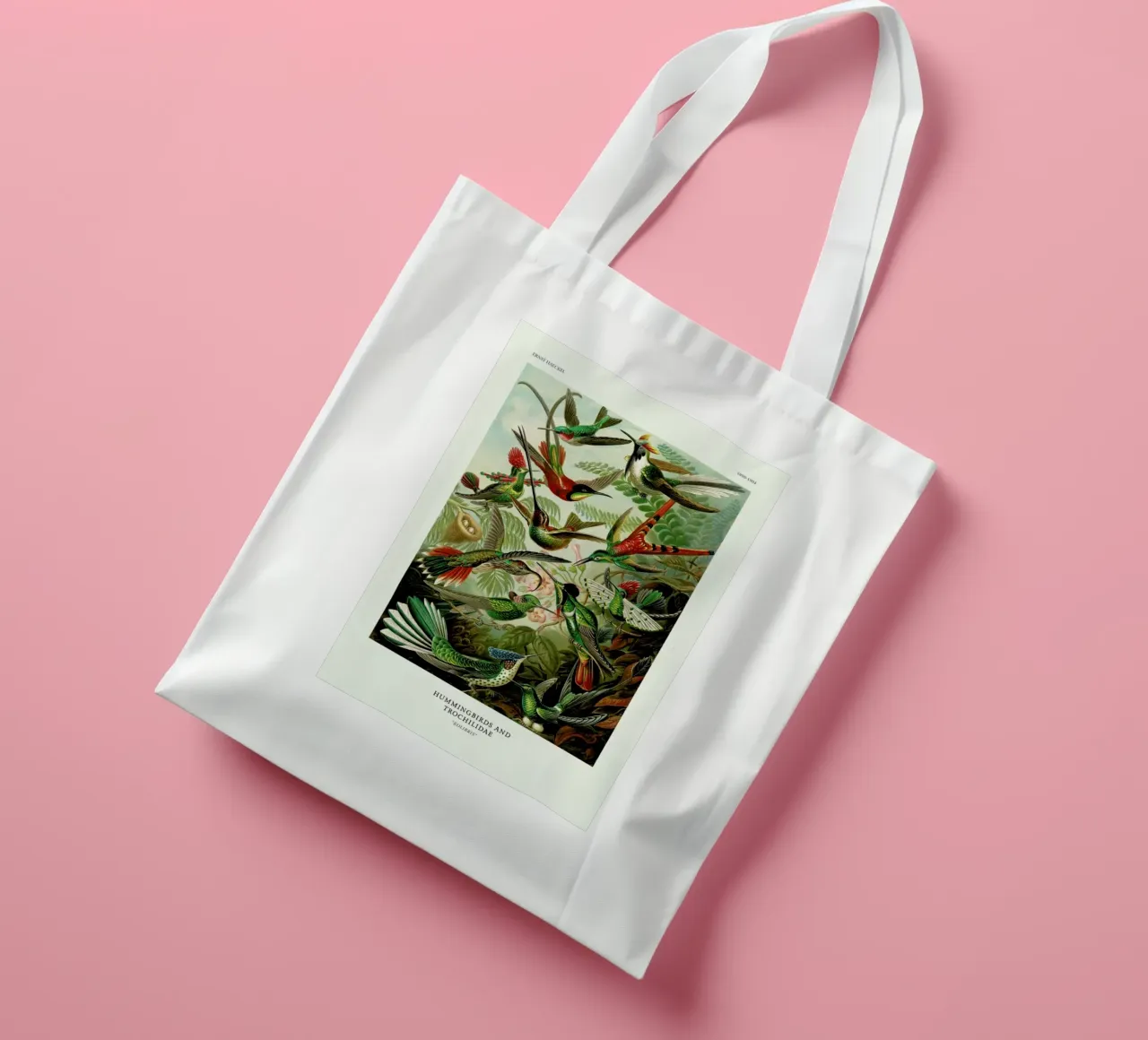 Haeckel - Hummingbirds and Trochilidae (Kolibris) tote bag by ARTOTHEK