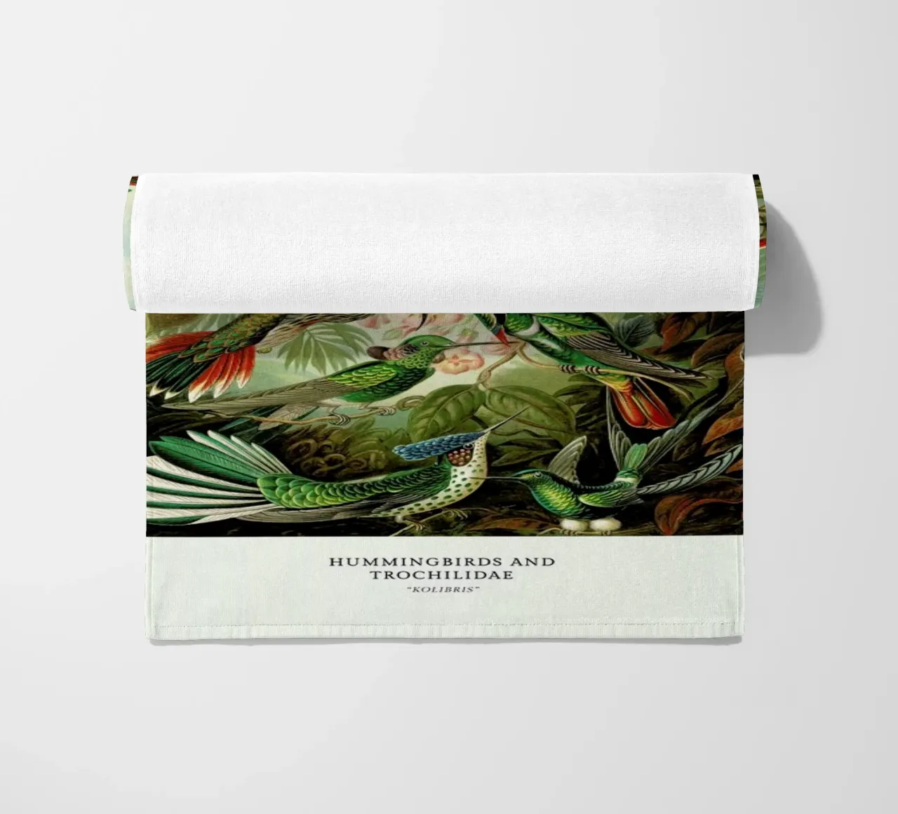 Haeckel - Hummingbirds and Trochilidae (Kolibris) telo mare da ARTOTHEK