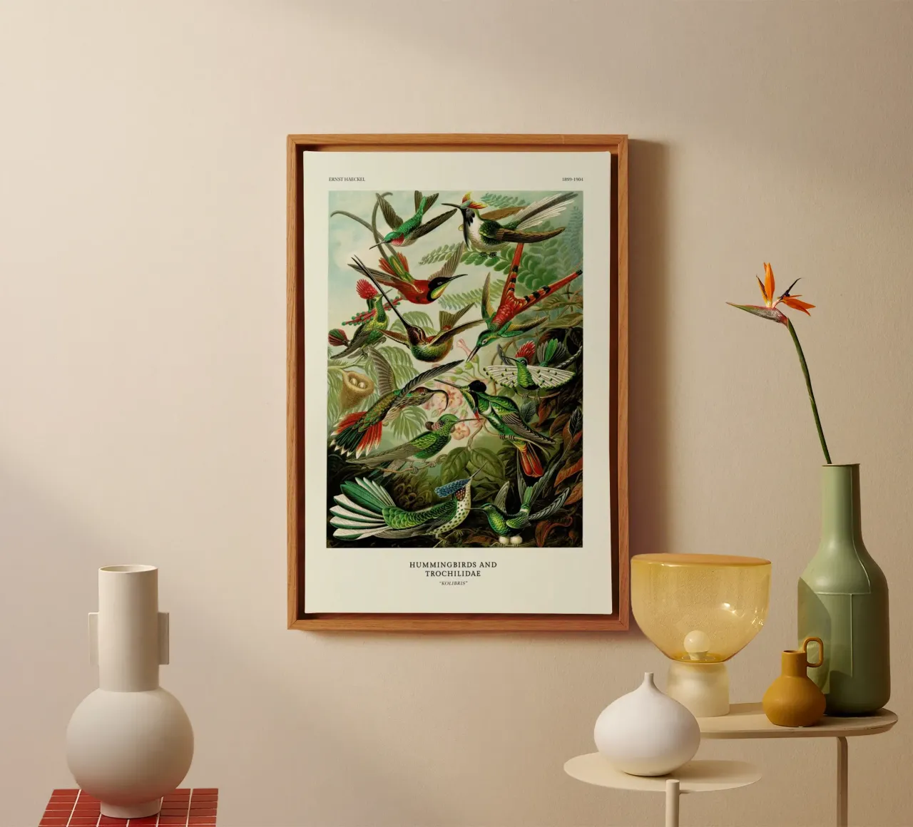 Haeckel - Hummingbirds and Trochilidae (Kolibris) tela con Cornice a cassetta da ARTOTHEK