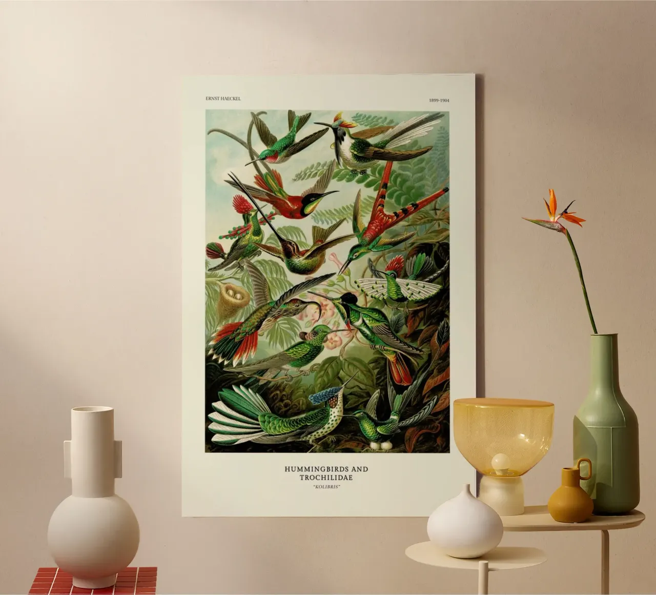 Haeckel - Hummingbirds and Trochilidae (Kolibris) tela con Cornice a cassetta da ARTOTHEK