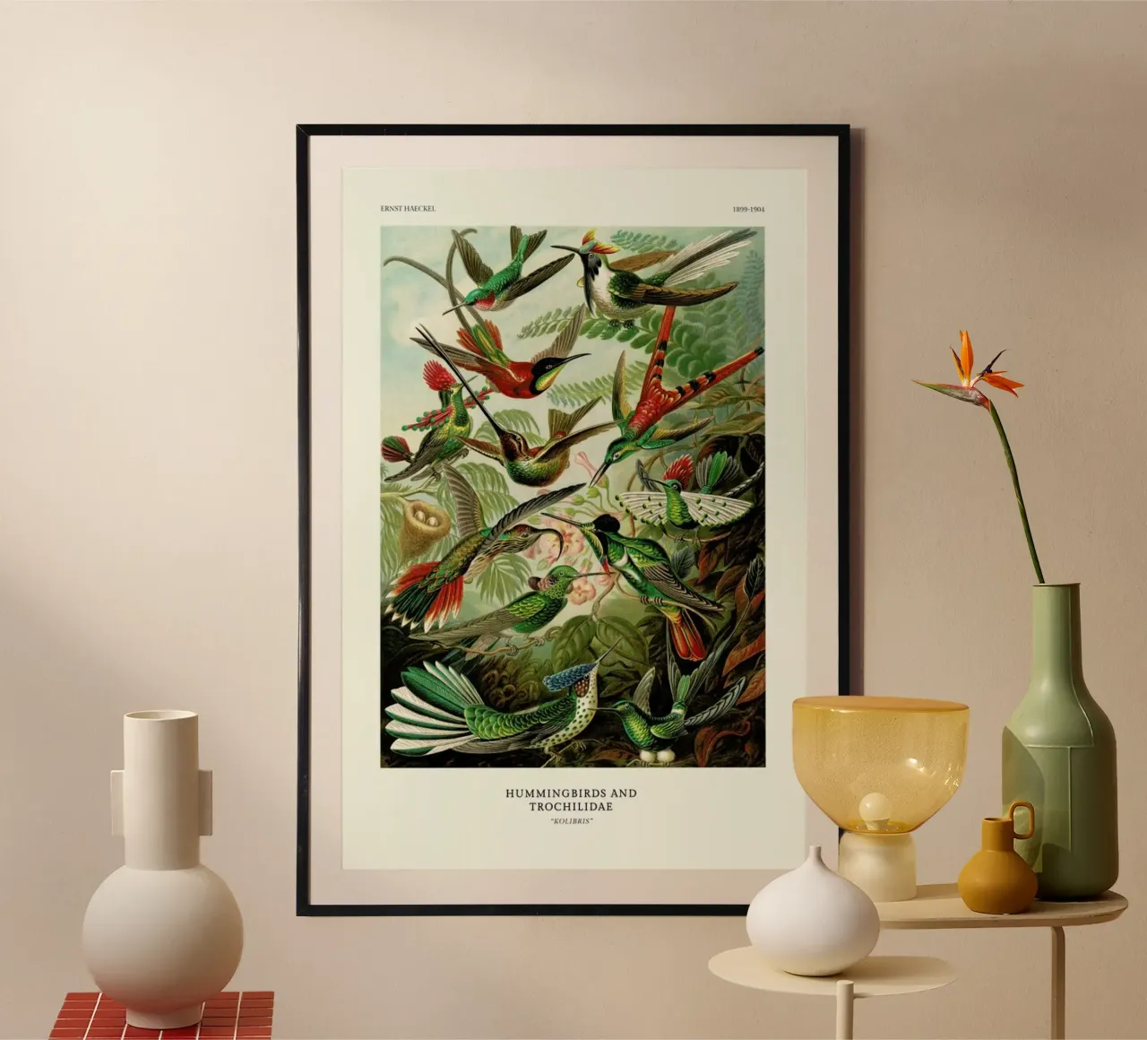 Haeckel - Hummingbirds and Trochilidae (Kolibris) carta hahnemühle da ARTOTHEK