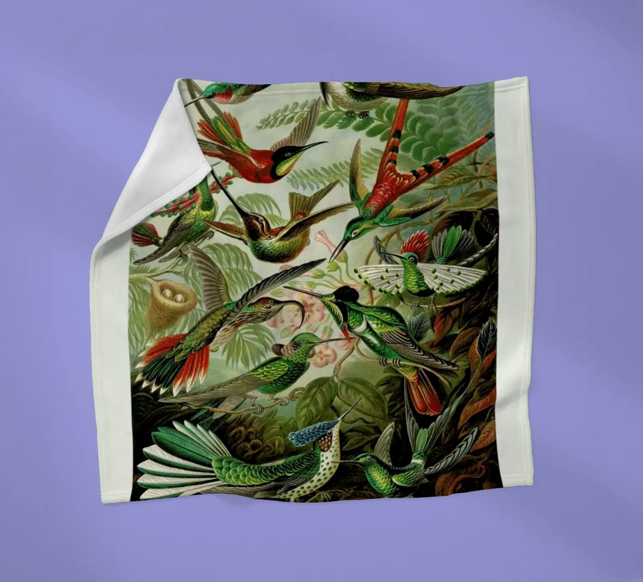 Haeckel - Hummingbirds and Trochilidae (Kolibris) fleece blanket by ARTOTHEK