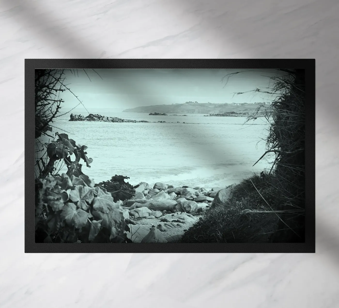 BW56 zerbino da Thierry vobmann photography