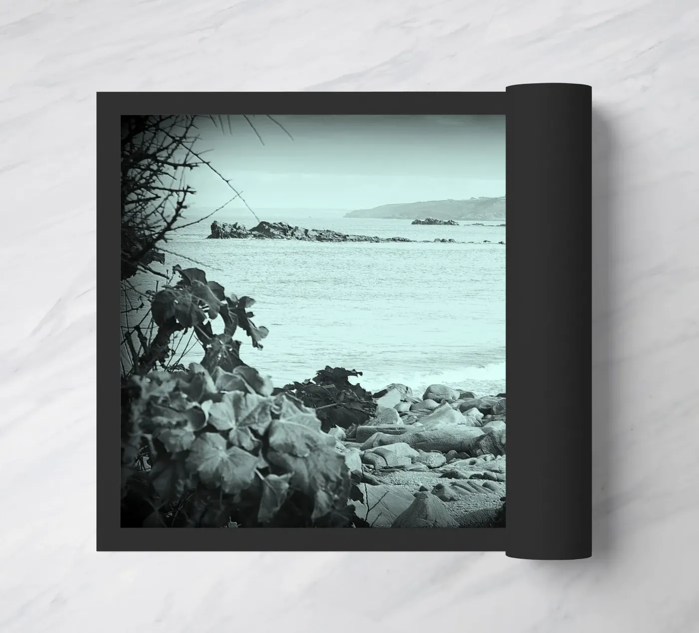 BW56 zerbino da Thierry vobmann photography